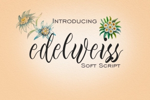Edelweiss Soft Script Font Download
