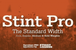 Stint Pro Family Font Download
