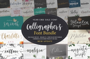 Calligrapher's  Bundle (98%Off) Font Download