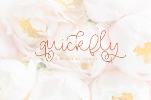 Quickfly Font Download
