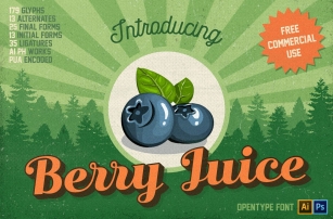 Berry Juice {Free Commercial Use} Font Download