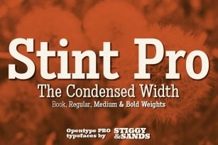Stint Condensed Pro Family Font Download