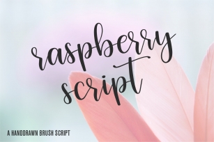 Raspberry Script Font Download