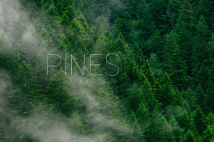 Pines Thin  Pines Thin Italic Font Download