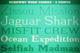 Screwby Wide Family Font Download