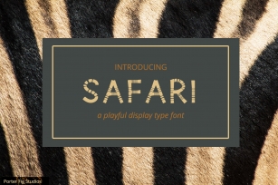 Safari Playful Display Typeface Font Download