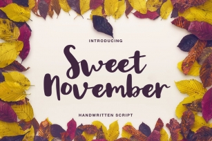 Sweet November script Font Download