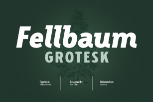 Fellbaum Grotesk Full Font Download