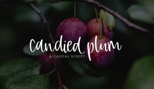 Candied Plum Font Download