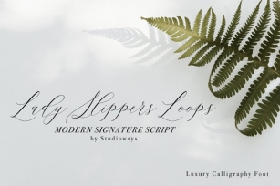 Lady Slippers Loops Font Download