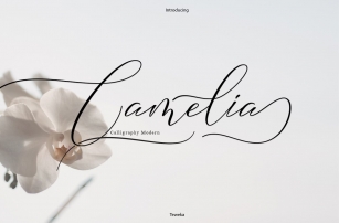 Camelia Calligraphy Modern Font Download
