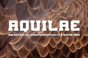 AQUILAE Slab Serif Font Download