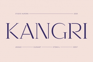 Kangri: Unique Elegant Stencil Serif Font Download