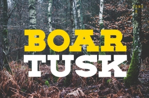 BOAR TUSK Family Font Download
