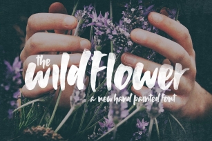Wildflower Font Download