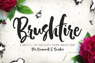 Brushfire Typeface + Extras Font Download