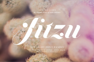 Jitzu Family Font Download