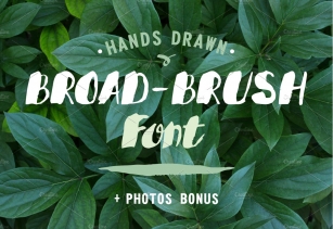 BROAD-BRUSH Font Download