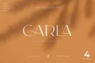 Carla Sans -Elegant Typeface Font Download
