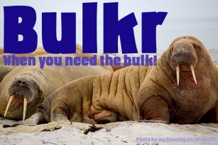 Bulkr, a font when you need impact Font Download