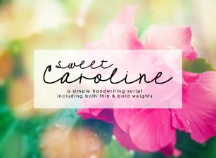 Sweet Caroline Font Download