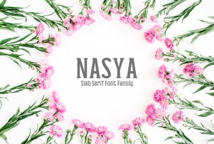 Nasya Slab Serif 4 Family Pack Font Download