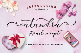Catandra Script_Update Font Download