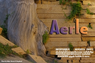 Aerle: foundation of companion sans Font Download