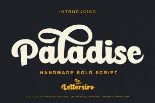 Paladise  Extras Font Download