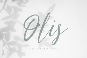 Olis — handmade font family Font Download