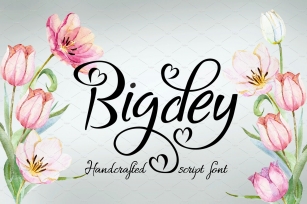 Bigdey Font Download
