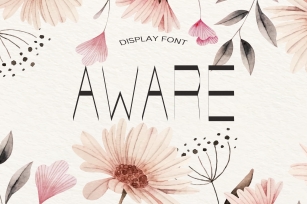 Aware Summer Font Download