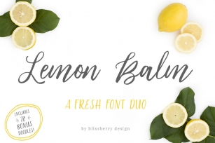 Lemon Balm Duo + Extras! Font Download