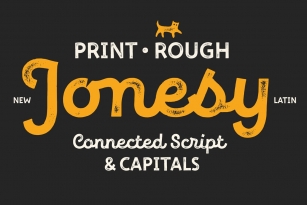 New Jonesy Latin – Family Font Download