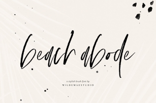 Beach Abode Brush Script Font Download