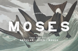 Moses Font Download