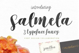 Salmela 3 Typeface Font Download