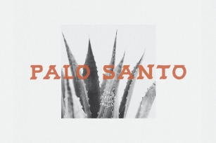 Palo Santo Font Download