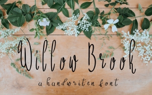 Willow Brook Handwritten Font Download