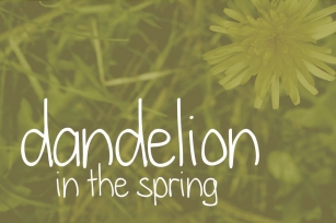 Dandelion in the Spring Font Download