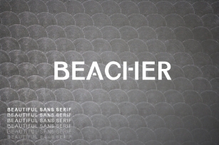 Beacher Sans Serif 6 Family Font Download