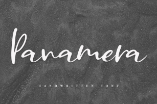 Panamera / Cyrillic  Latin/ Sale Font Download