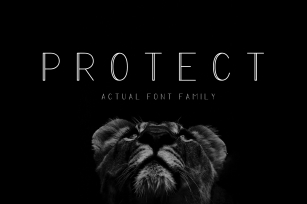 PROTECT Sans Serif Family Font Download