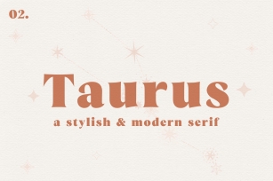 Taurus // A Stylish  Modern Serif Font Download
