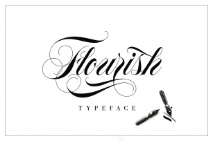 Flourish Typeface Font Download