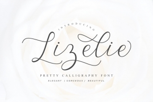 Lizelie Calligraphy font Font Download
