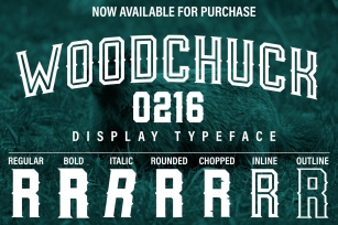 Woodchuck 0216 Display Typeface Font Download