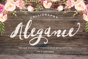 Alegance Typeface Font Download