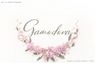 Gamodora (90% off) Font Download