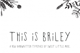 Briley Typeface Font Download